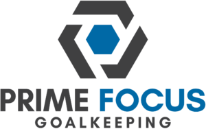 Prime Focus Goalkeeping Goalkeeper Gloves